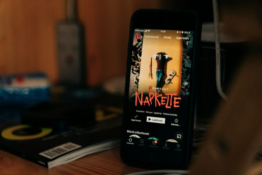 Netflix app interface